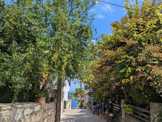 PXL_20250816_101506311_1
