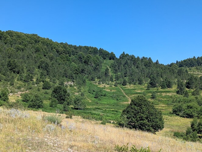 PXL_20250811_082827633_1