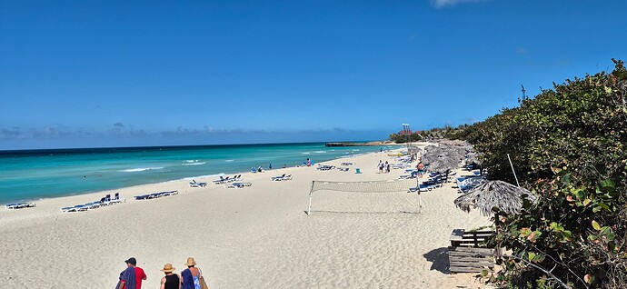 20250214_140831