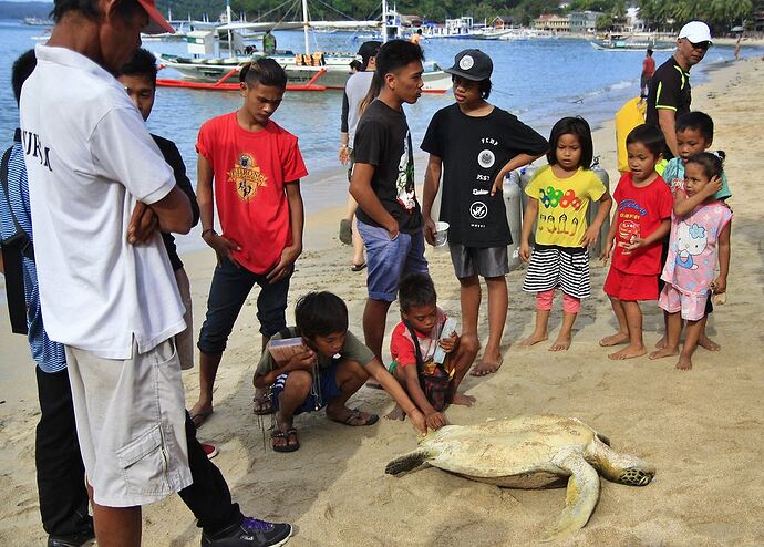 3 semaines de rêve aux Philippines  (3/3) - lolotte34