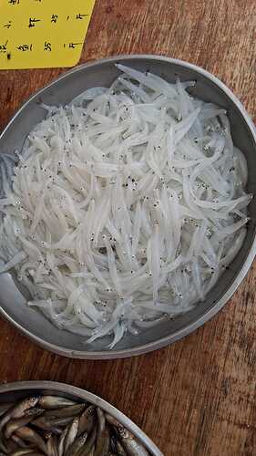IMG-20251118-WA0010