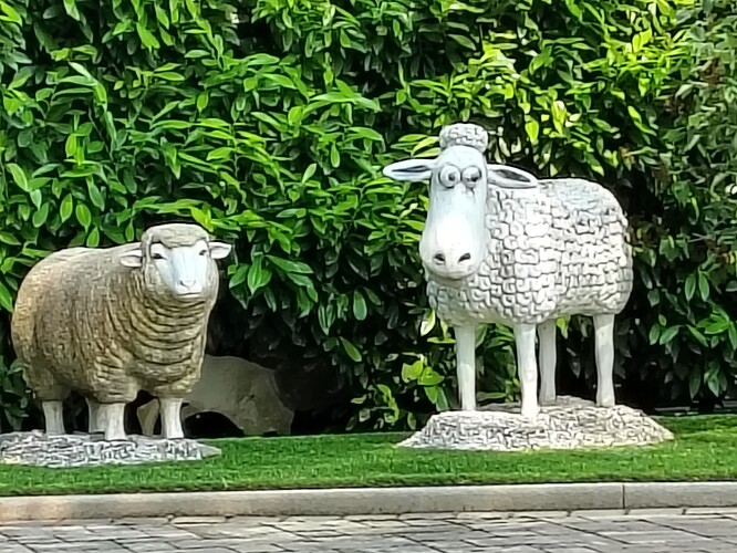 IMG_20250611_094433264_HDR