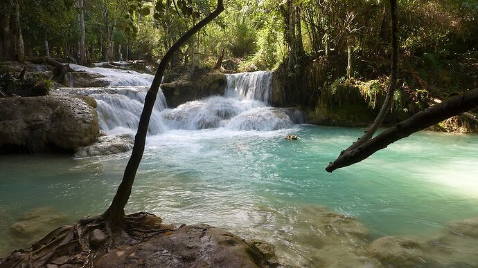 15 jours au Nord-Laos en nov 2015 - bernardlam