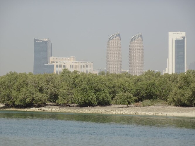 DSC03080_1