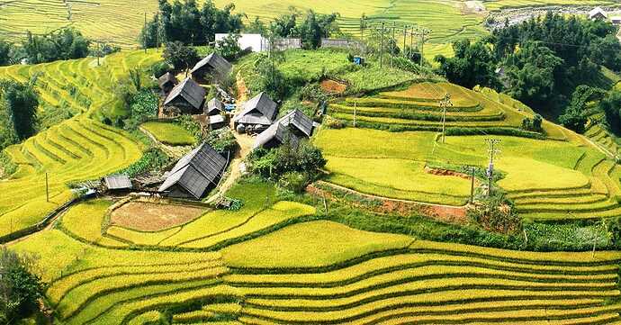 Terrace fields in Ta Van village sapa