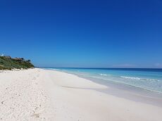 itinéraire Mexique Yucatan 15 jours en voiture ( Mexico- Yucatan et Palenque et TULUM) - Lu-lu2