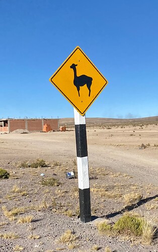 Attention Lamas