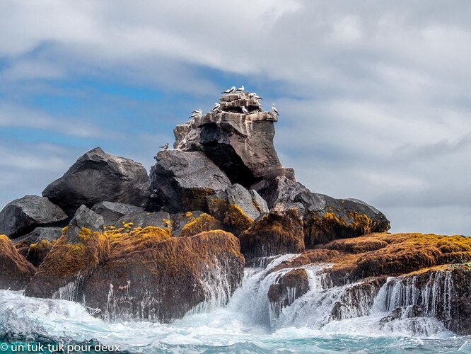 12 jours aux Îles Galápagos en autonomie, c'est vraiment merveilleux! - un-tuk-tuk-pour-deux