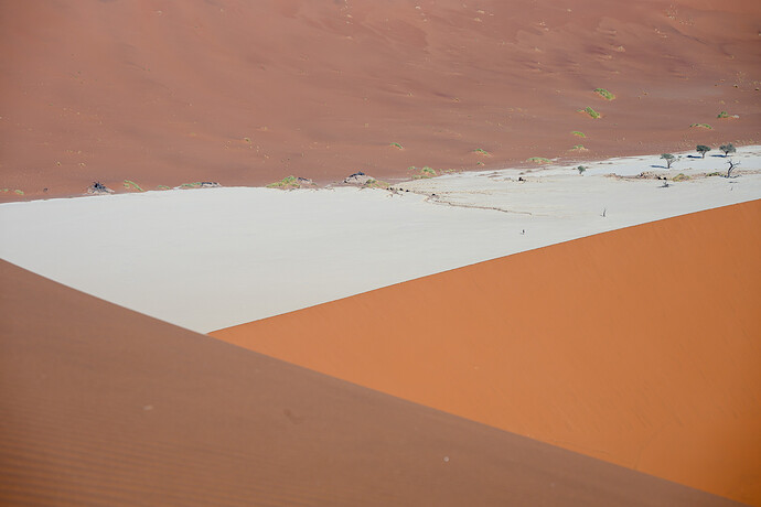 _NZ60699