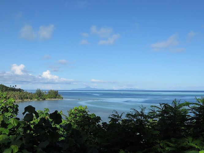 DE RETOUR D'UN MOIS EN POLYNESIE - tontonvin