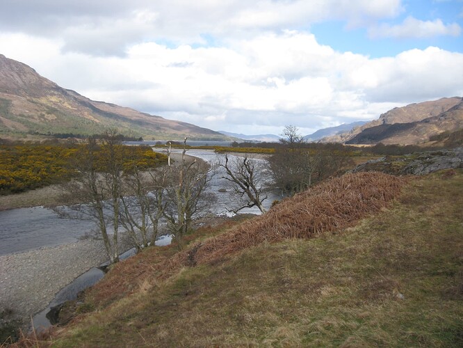 Ecosse (304)