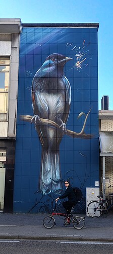 IMG_20260302_113011773_HDR