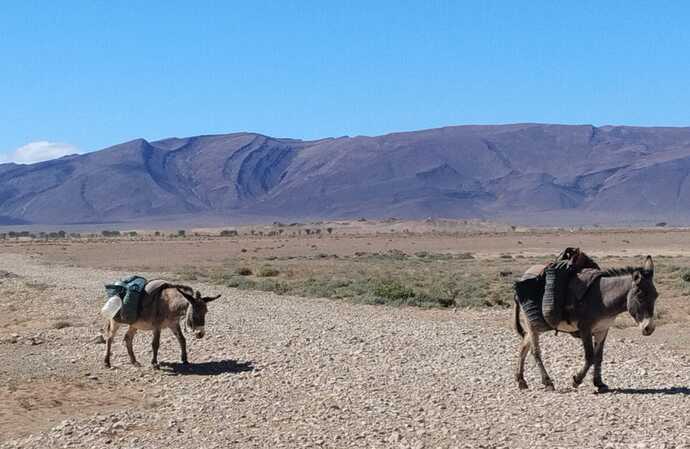 IMG-20250420-WA0040(1)