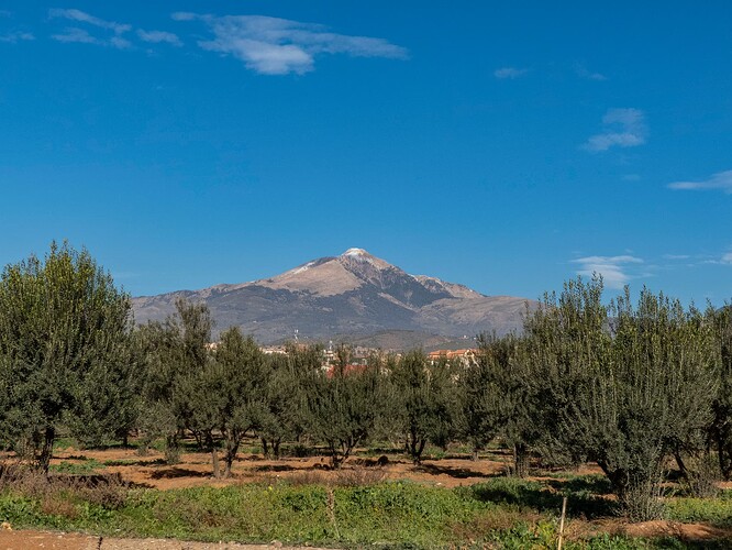 Raffour, M'Chedallah, champs d'oliviers et Lalla Khadidja