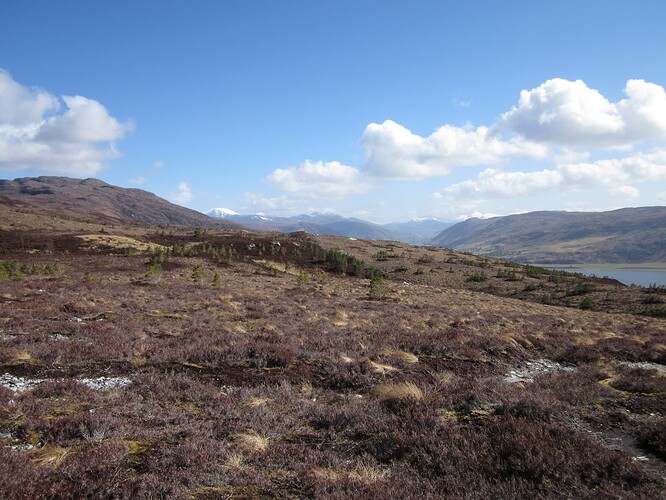 Ecosse 2013 203