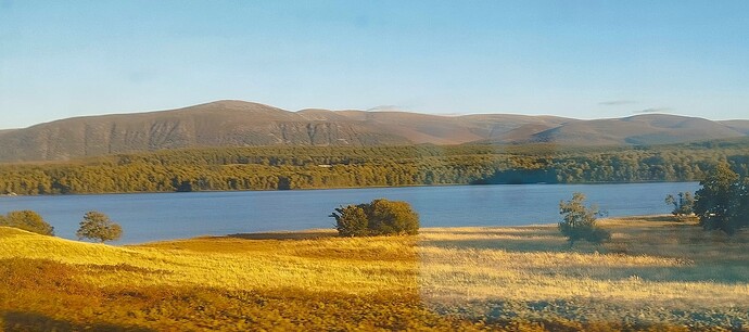 Cairngorms 6