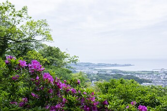 武山