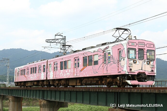Train Ninja