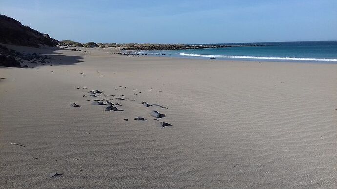 Récit d'une semaine à Lanzarote fin janvier (avec photos) - francis31