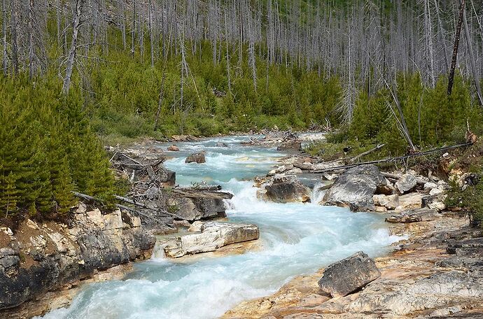 L'Ouest canadien à pleins poumons: épisode 1, les Rocheuses et la chaîne Alberta - fabienne65