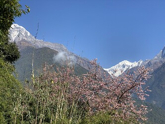 IMG_8300