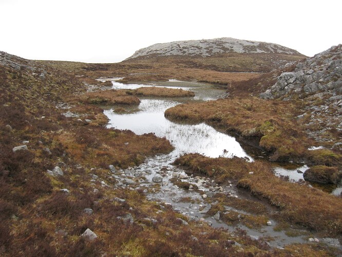 Ecosse (221)1