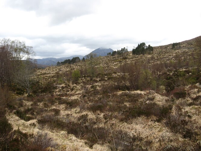 Ecosse (265)