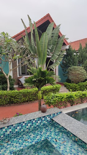 IMG_20250307_171530