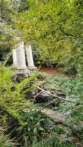 IMG_20251011_111653100_HDR