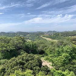 大楠山2