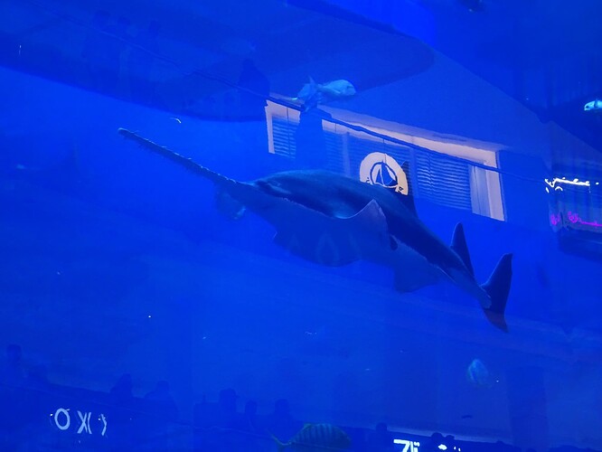 DSC03070_1