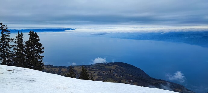 IMG_20250210_143556
