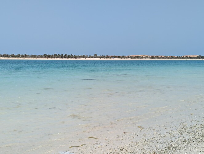 PXL_20250419_083617058_1
