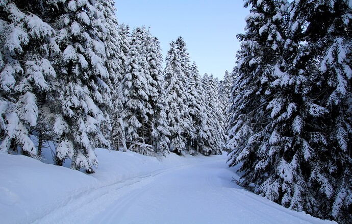 Sur une piste de ski de fond