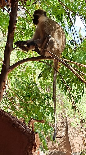 IMG_20250313_225410