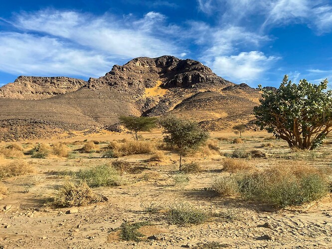 El Berdj