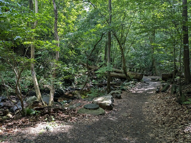 PXL_20250609_142355656