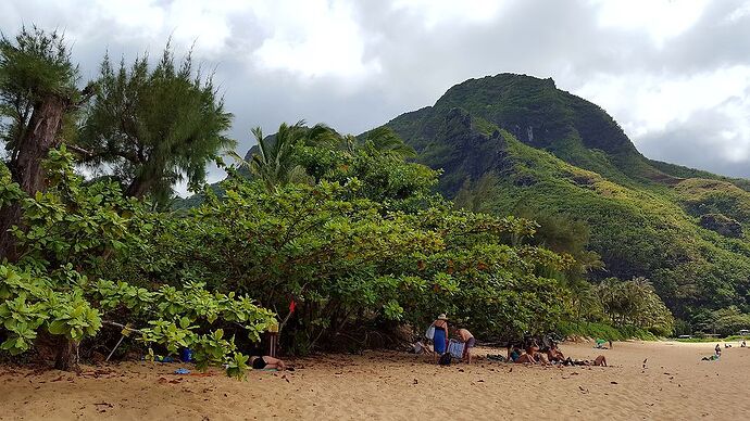 compte rendu Hawaii (3 îles, 18 jours et 2 ados) - petit1071