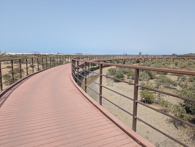 PXL_20250417_102159543_1