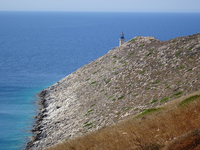 DSC03533_1