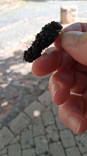 IMG-20250620-WA0022