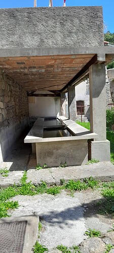 20250803_121302
