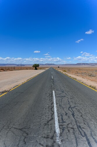 _NZ60556