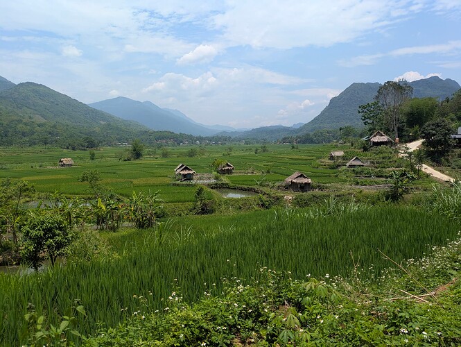 PXL_20250504_040548700