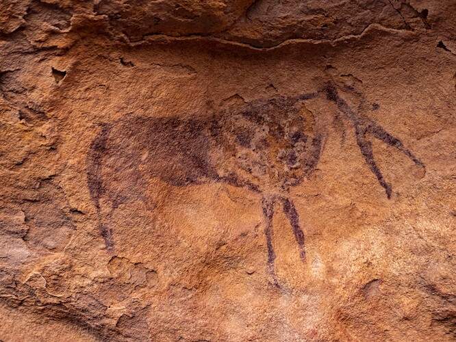 Peintures rupestres : girafe couchée, vaches et humain