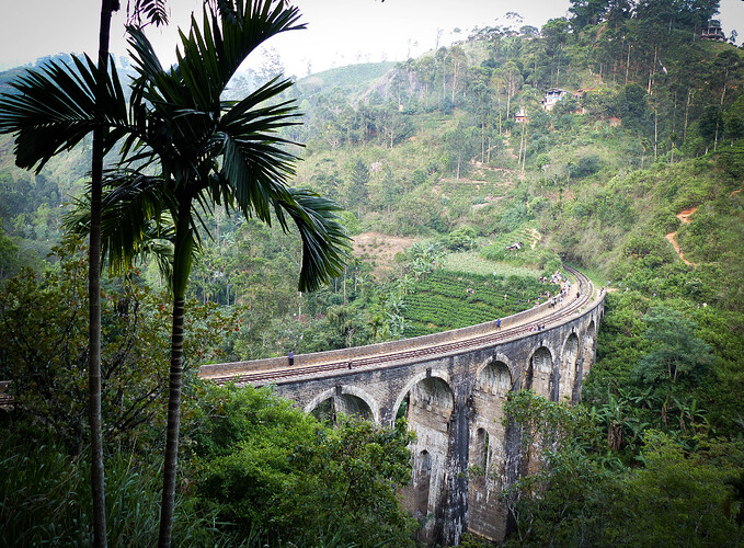 Ayubowan, Sri Lanka - rosie31 Ayubowan, Sri Lanka - rosie31