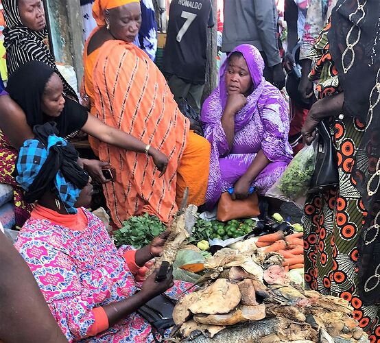 Visages et instantanés du Sénégal, Saint Louis et ses environs ... - fabienne65