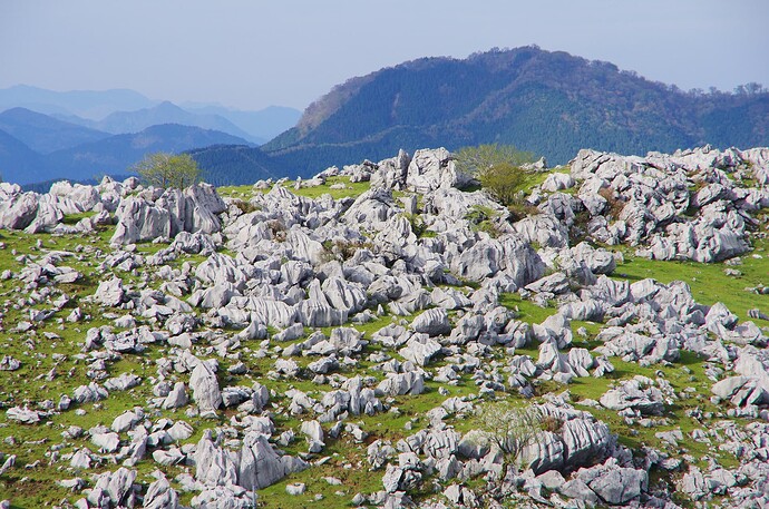 Akiyoshidai(karst plateau)