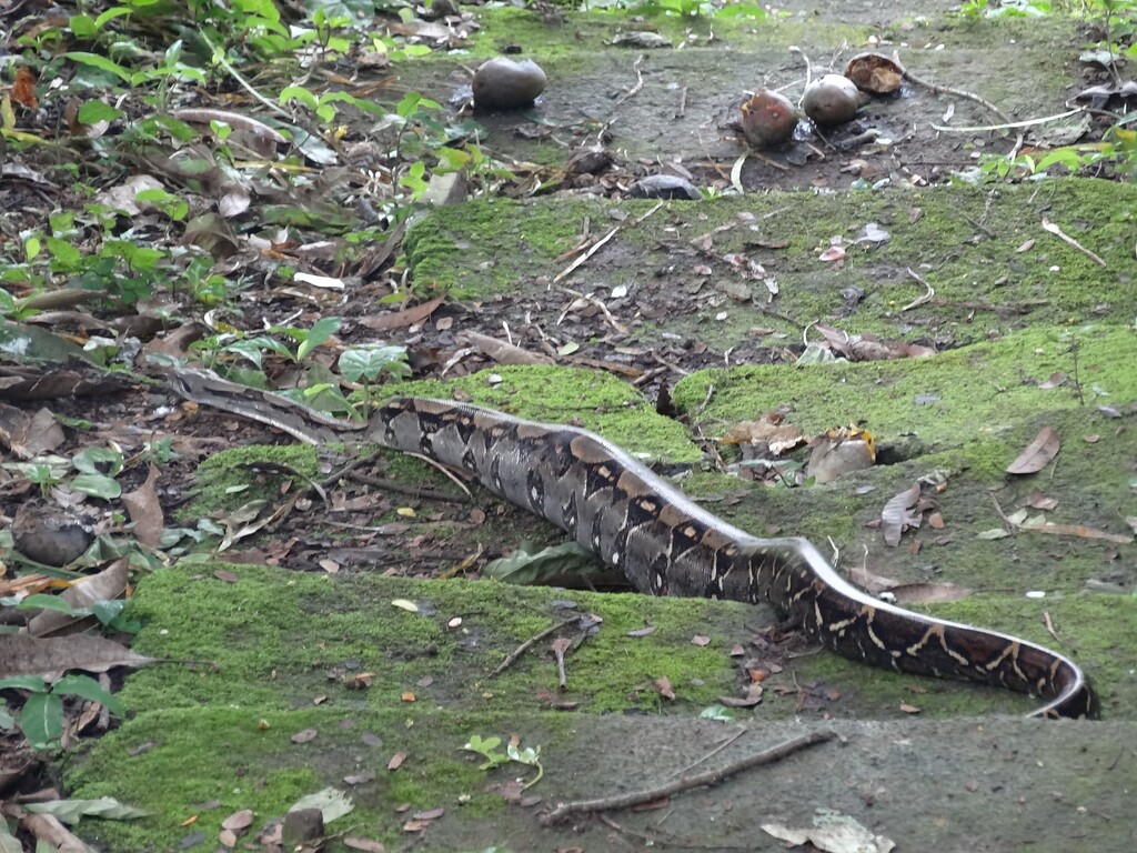 Carnet de voyage au NICARAGUA (retour en photos)