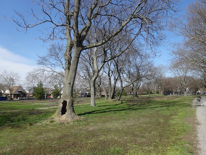 DSC00401 carnasie park